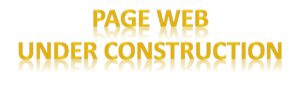 Page Under construction