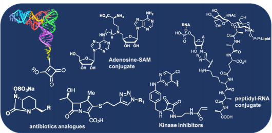 the chemistry of RNA